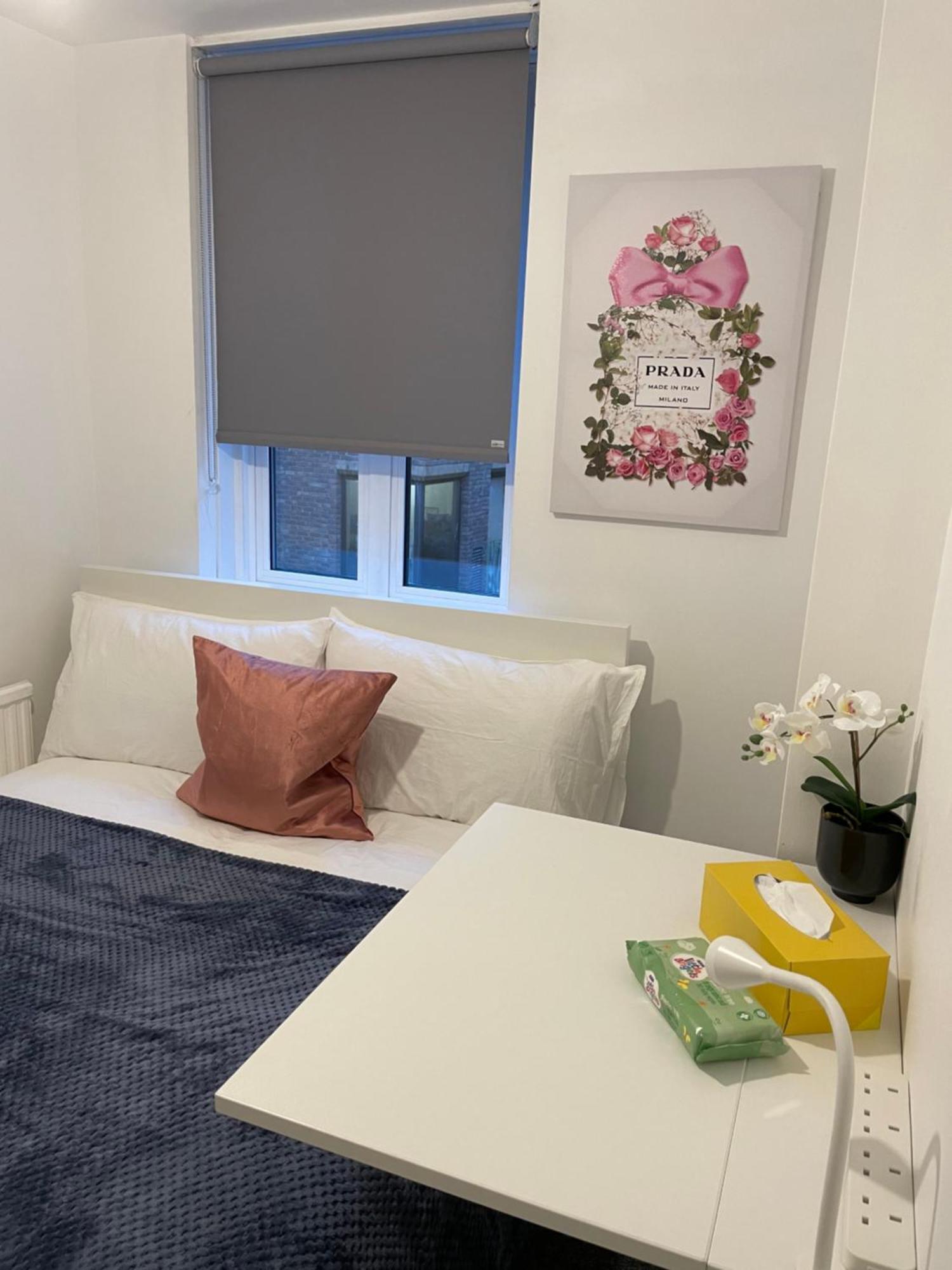 Lovely Double Rooms In Euston & Square In Central ロンドン エクステリア 写真